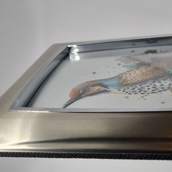 Northern Flicker Bird Watercolor Oil Painting Framed Art‎ Print - Picture 8 of 9